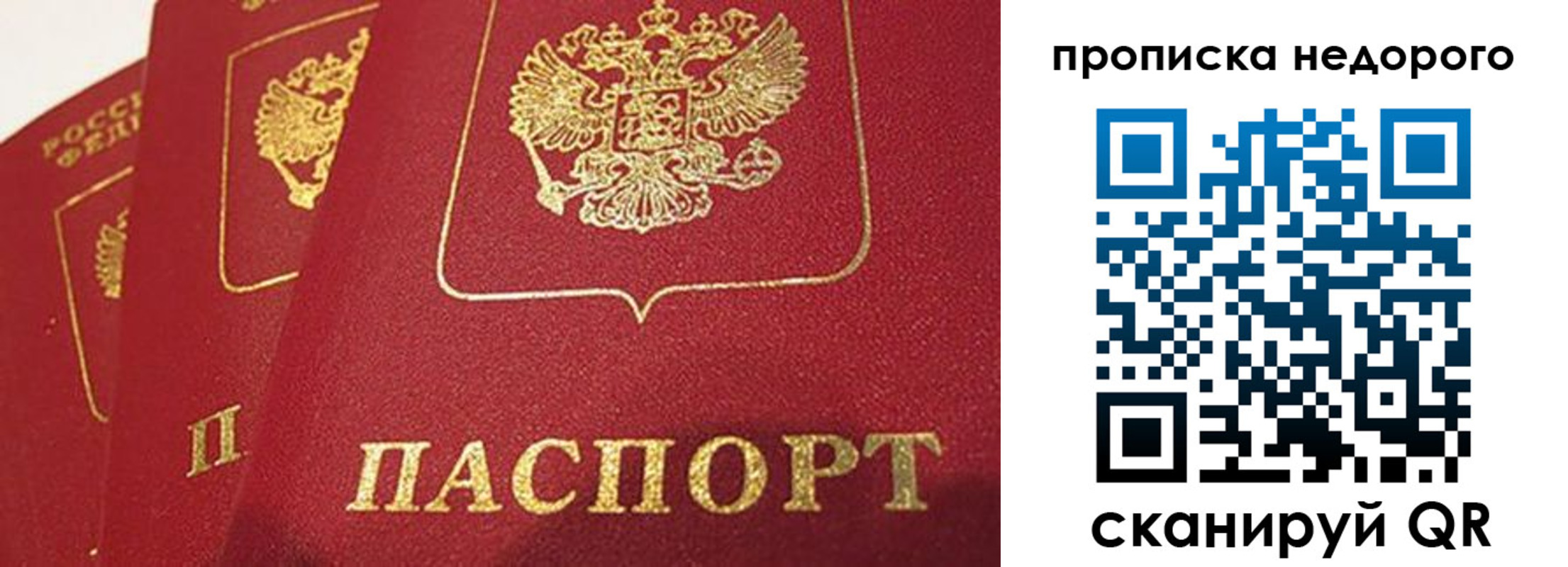 регистрация для школы в Оренбургской области